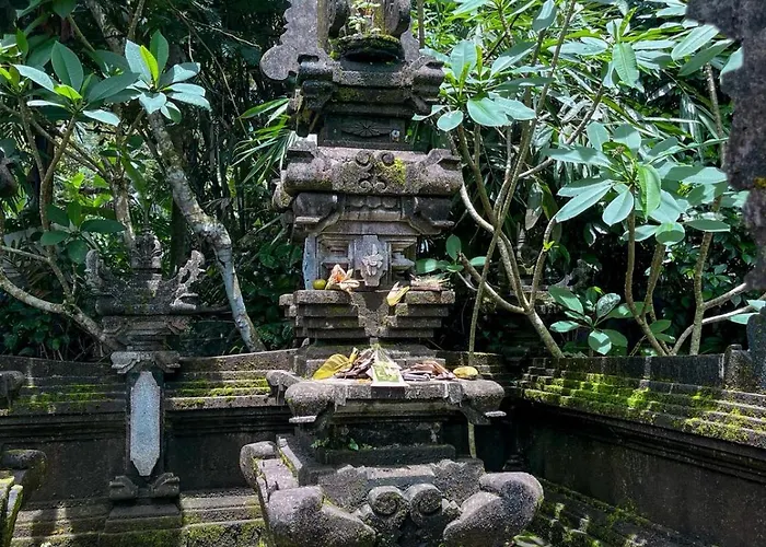 Tarotours - We Manage Different In Taro Village Penginyahan