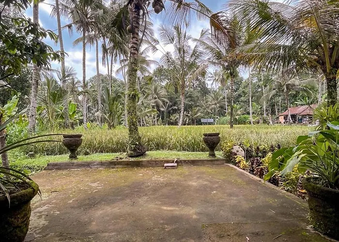 Tarotours - We Manage Different In Taro Village *
