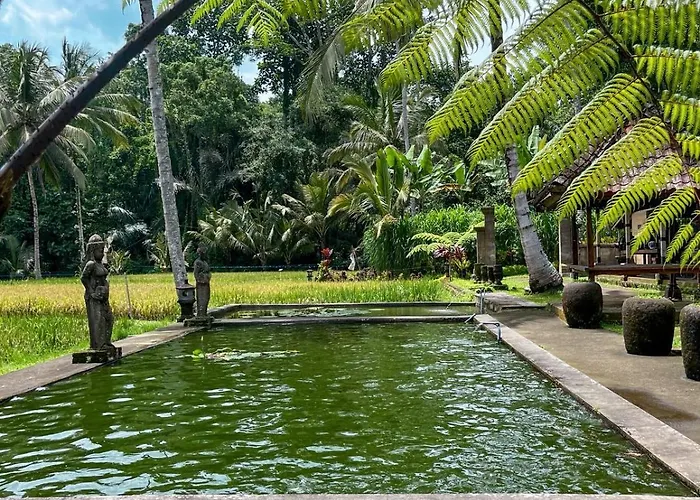 Tarotours - We Manage Different In Taro Village カントリーハウス Penginyahan
