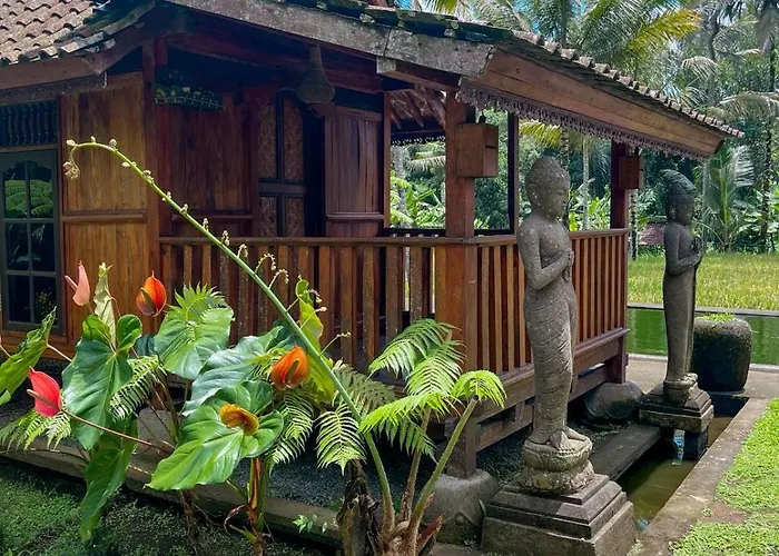 カントリーハウス Tarotours - We Manage Different In Taro Village