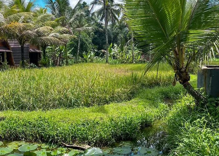 Tarotours - We Manage Different In Taro Village * Penginyahan